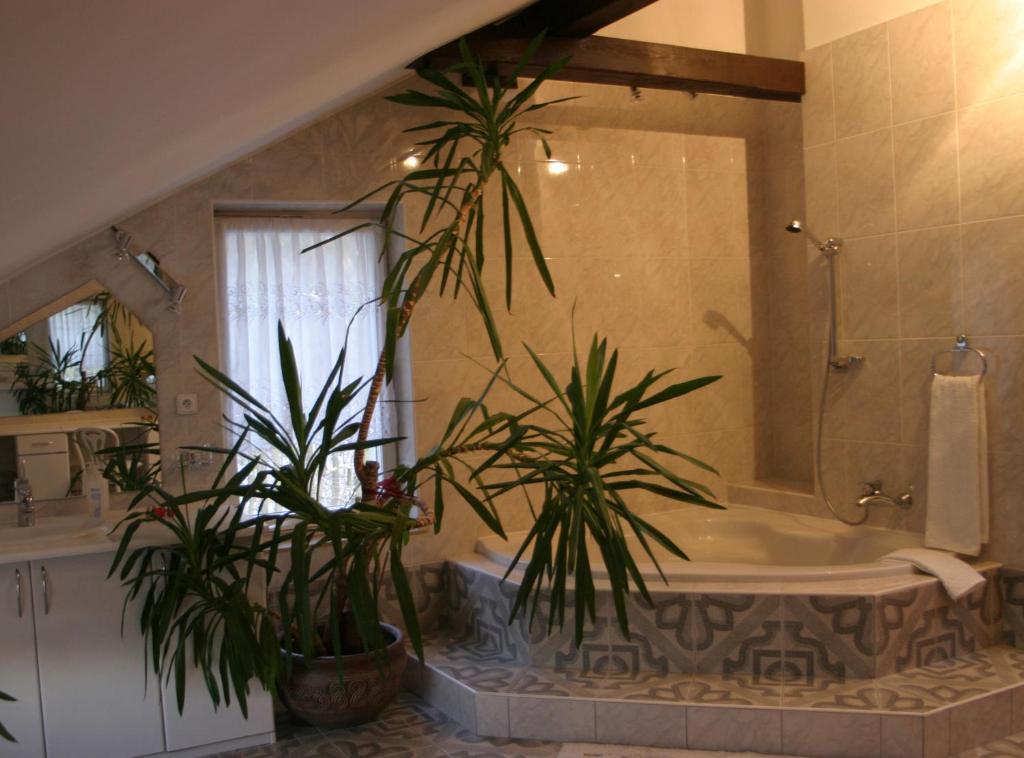 Villa Ambra Gdańsk Cameră foto